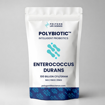 Enterococcus durans