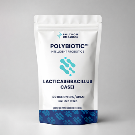 Lacticaseibacillus casei