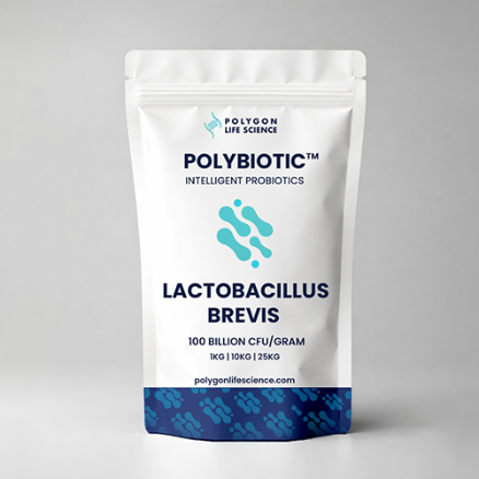 Lactobacillus brevis