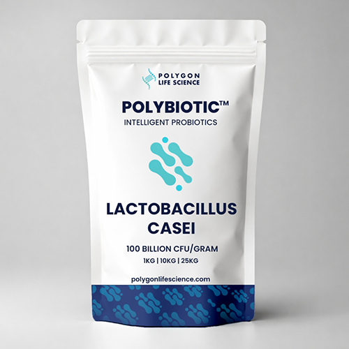 Lactobacillus casei
