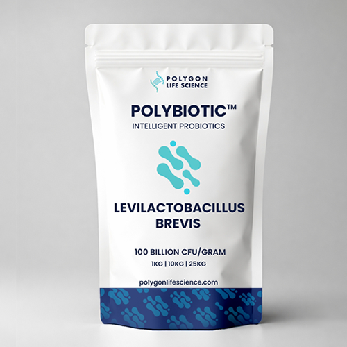 Levilactobacillus brevis