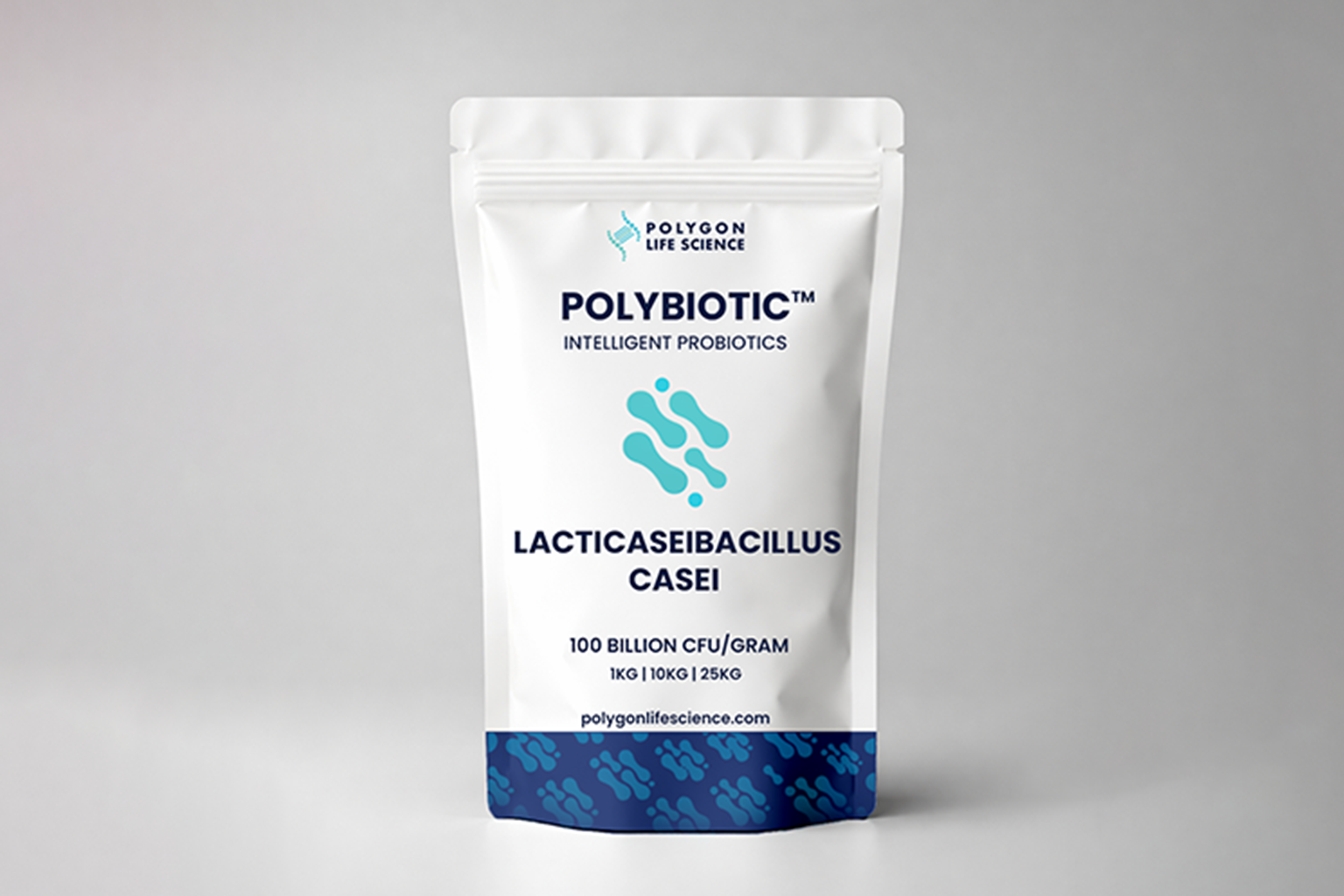 Lacticaseibacillus casei
