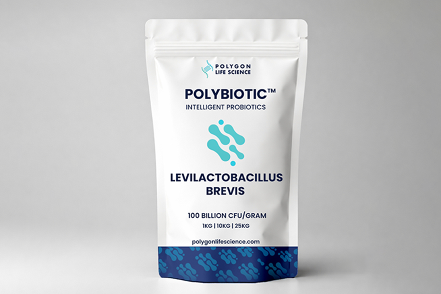 Levilactobacillus brevis